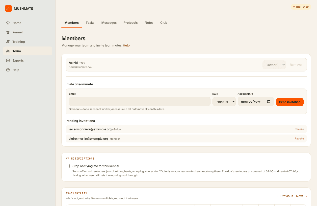 The Members tab: the invitation form, two pending invitations, and the team list