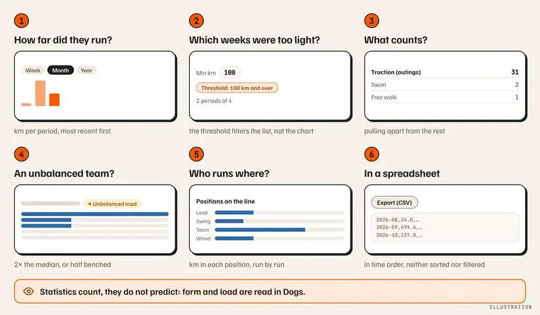 Map of the Statistics page in six questions: how far did my dogs run, which weeks were too light, what counts as pulling, is a team unbalanced, who runs where on the line, my figures in a spreadsheet; statistics count, form and load are read in Dogs. Illustration.